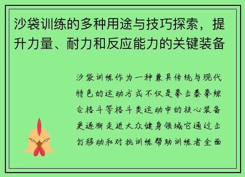 沙袋训练的多种用途与技巧探索，提升力量、耐力和反应能力的关键装备